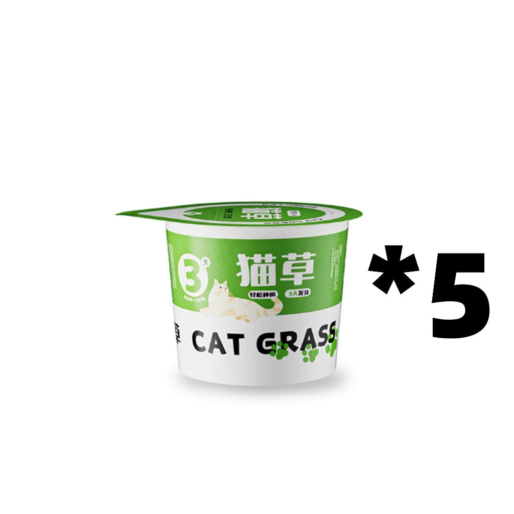 Kopipets Lazy Cat Grass Pot Hydroponic Soil-Free Hairball Aid Digestive Treat for Kittens Pet Snacks