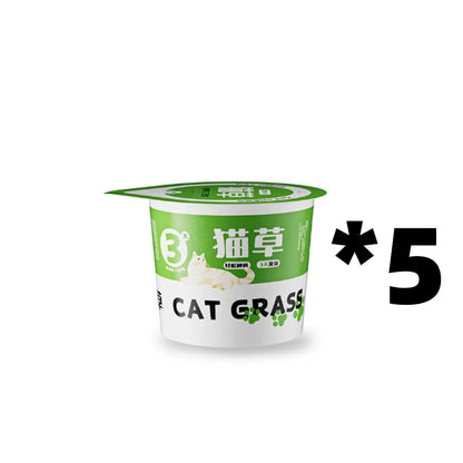 Kopipets Lazy Cat Grass Pot Hydroponic Soil-Free Hairball Aid Digestive Treat for Kittens Pet Snacks