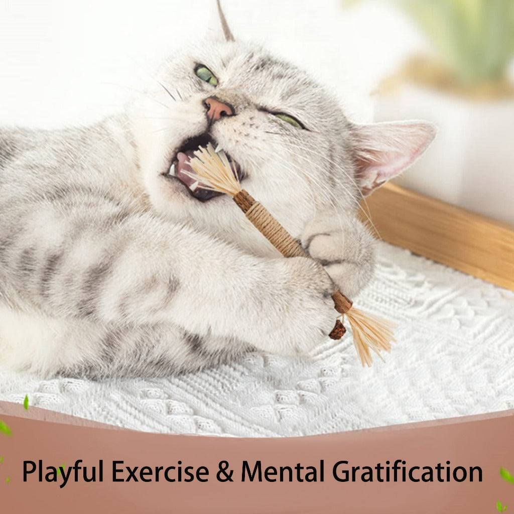 Kopipets Natural Cat Chew Stick Matatabi Catnip Rope Dental Toy for Kittens Teeth Cleaning Boredom Relief