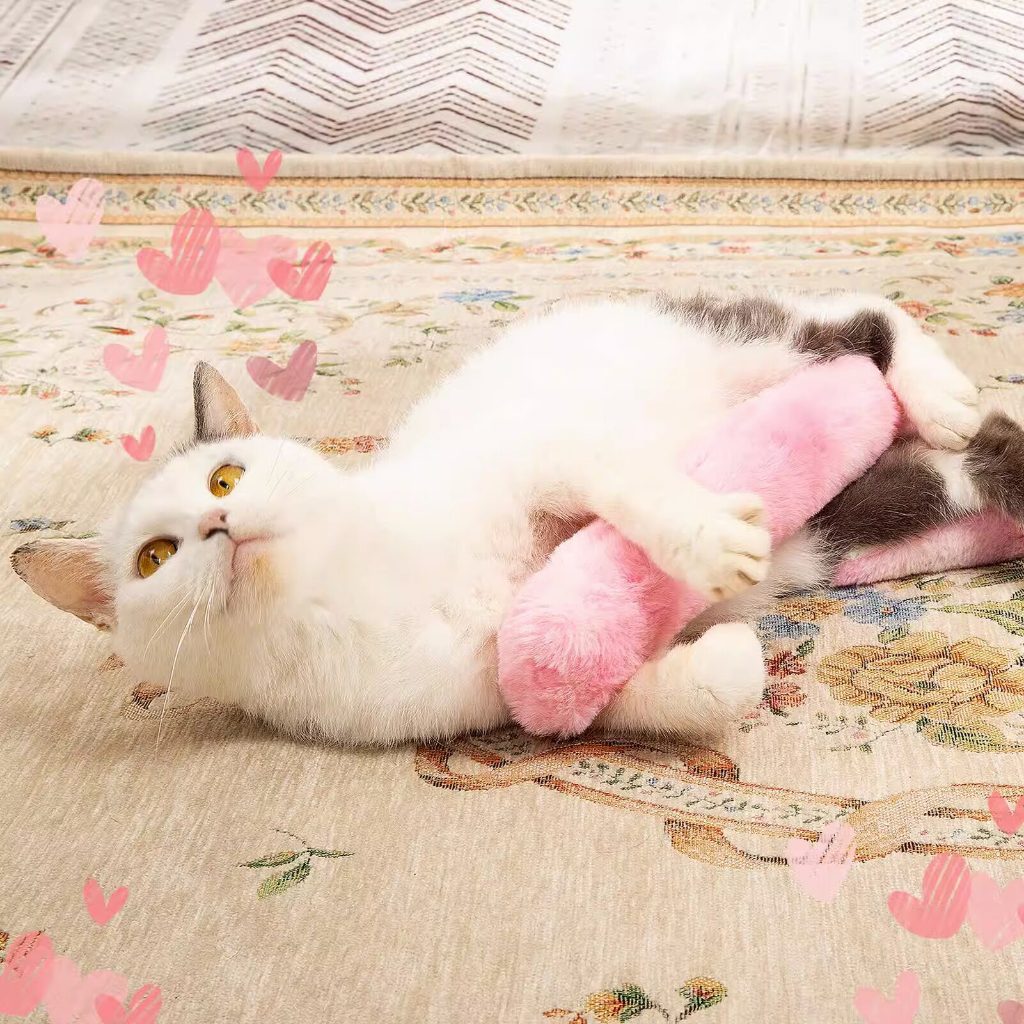 Kopipets Plush Catnip Cat Pillow Toy Soft Chew Kick Toy for Cats Matatabi Boredom Relief Dental Play
