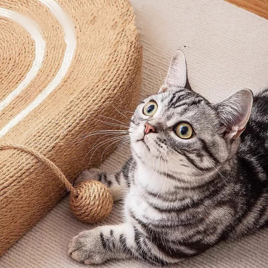 Kopipets Large Sisal Cat Scratcher Bed Bowl Durable Cat Scratch Board Nest Anti-Shed Claw Grinding Toy